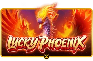 ndl97 VIP Program Myanmar Cashback Bonus အကျိုးခံစားခွင့်